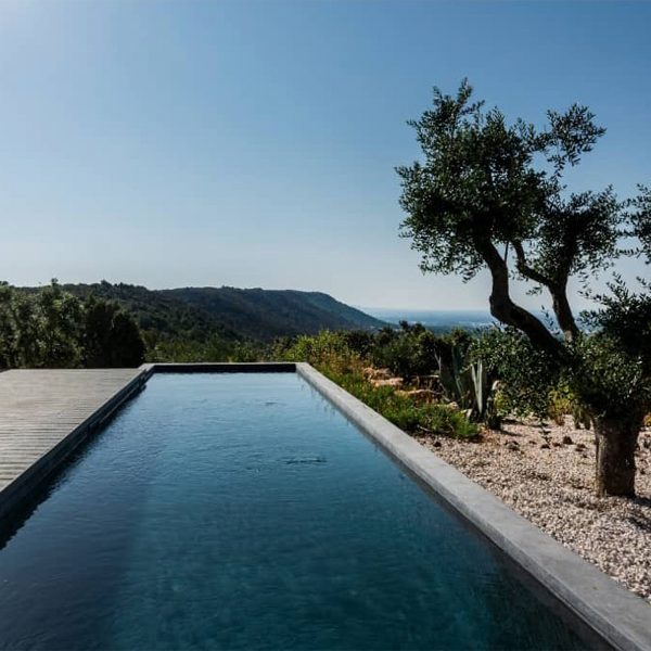 lap pool and lanscaping design by Vergati Creative Studio