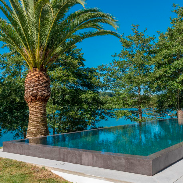 piscina desbordante de color oscuro junto a palmera