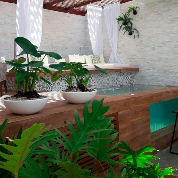 minipiscina elevada con ventana transparente en un patio