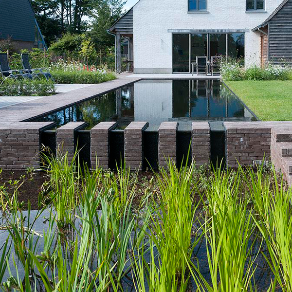 overflow black natural pool in a project by Green Architects