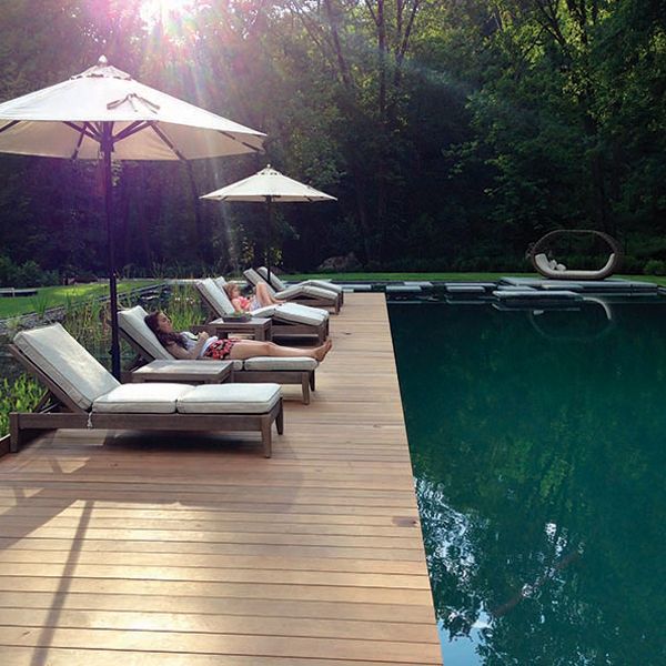 natural pool with relaxation area on wooden decking, by Artemis Landscape Architects