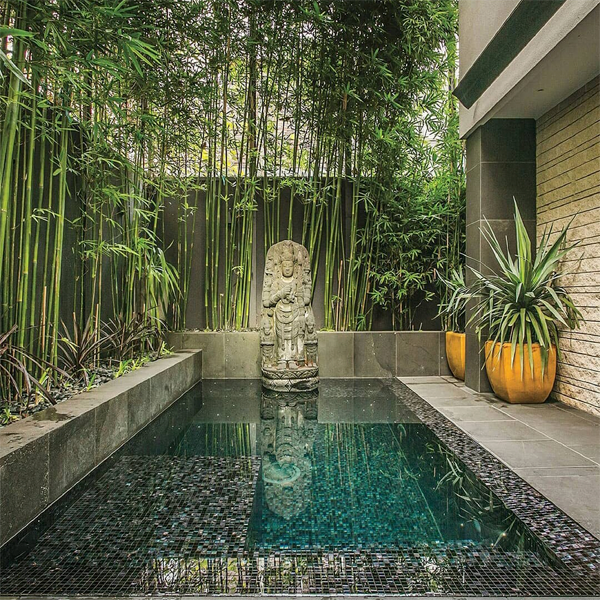 mini pool and landscaping by Coolabah Landscapes