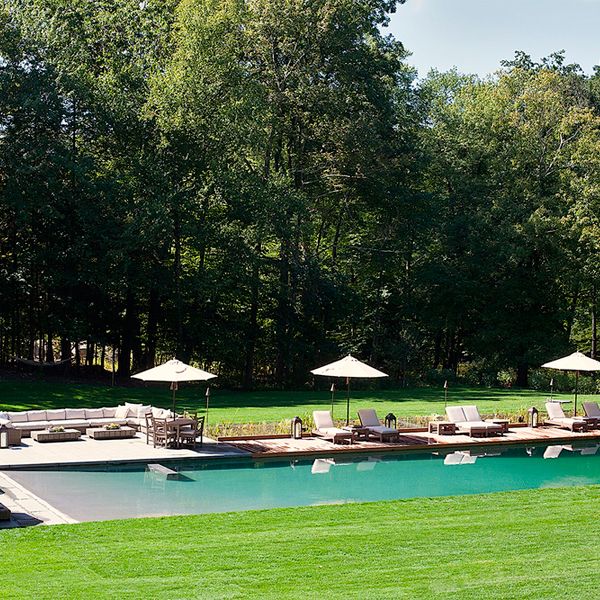 lap natural pool by Artemis Landscape Architects