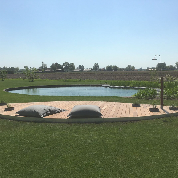 hybrid natural pool by Dreampool