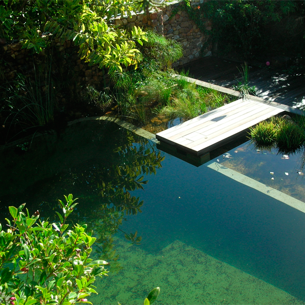 natural pool by Ecopools