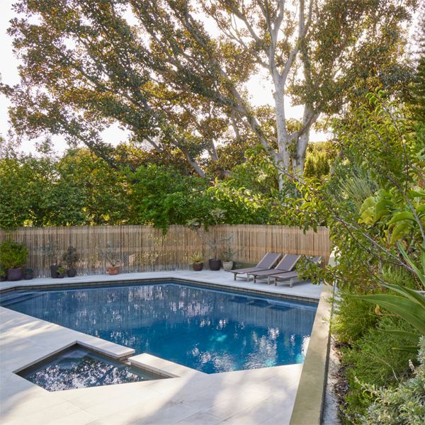 geometric pool and spa in a Hollywood modern backyard, by Terremoto Landscape