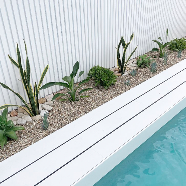 mini pool surrounded by white decking and tropical plants