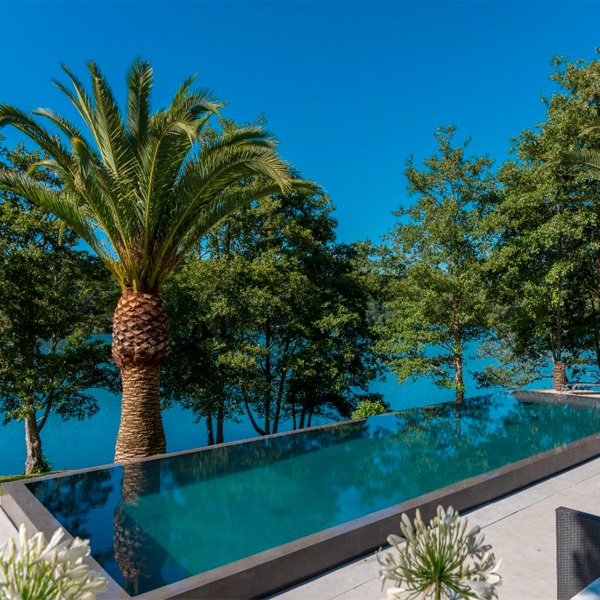 piscina desbordante de color oscuro junto a palmera