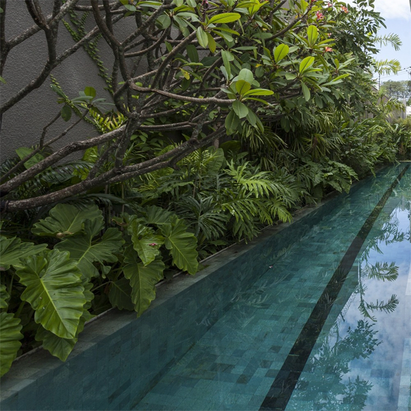 lap pool