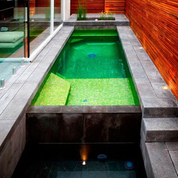 green overflow pool in the backyard