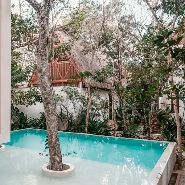 infinity pool in a unique project by Jaque Studio