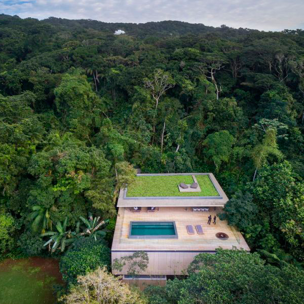 house with pool in the middle of the jungle