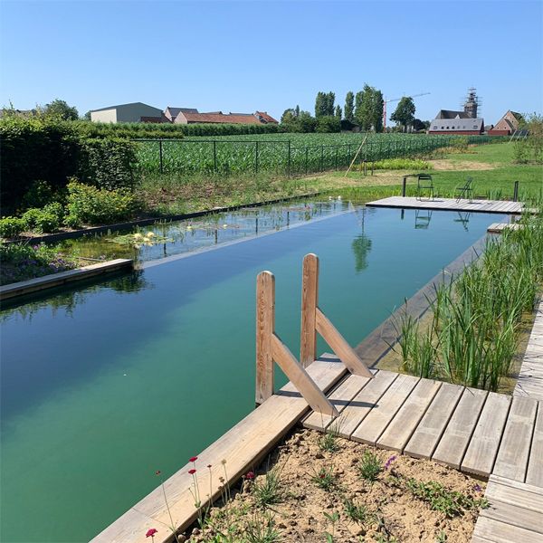 natural lap pool and garden, by Geoblauw