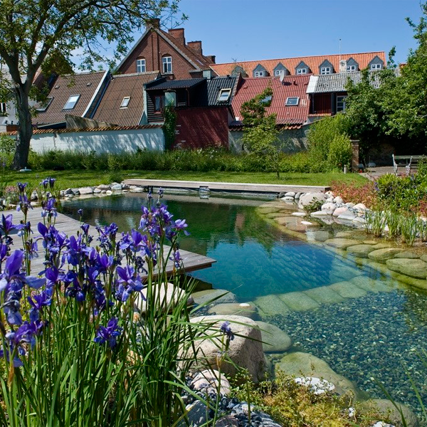 natural pool by Junckerhaven