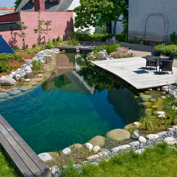 natural pool by Junckerhaven
