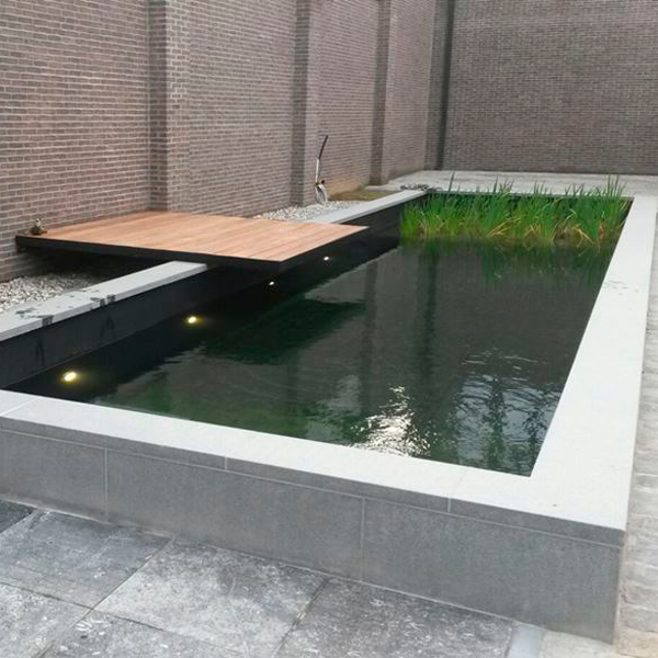 piscina natural rectangular en color oscuro