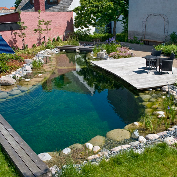 piscina natural por Junckerhaven