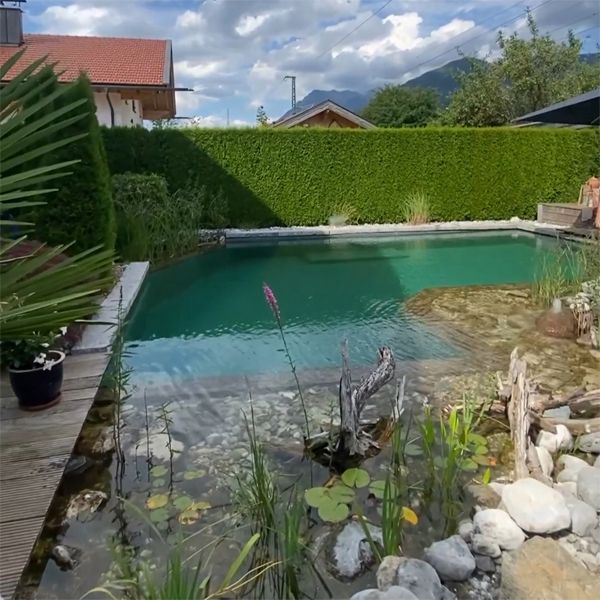 Pequeña piscina natural en un jardín privado, por Teichmeister