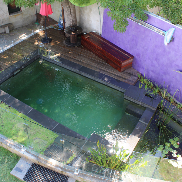piscina natural rectangular con decoración exterior en color morado