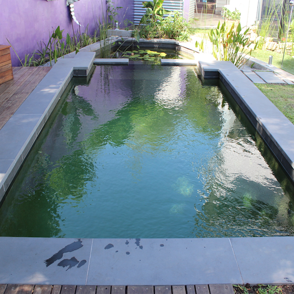 piscina natural rectangular