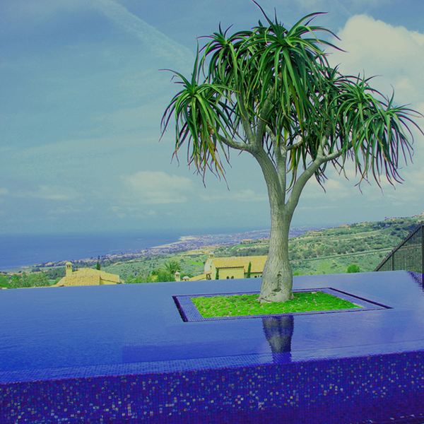 piscina infinity por ams landscape design