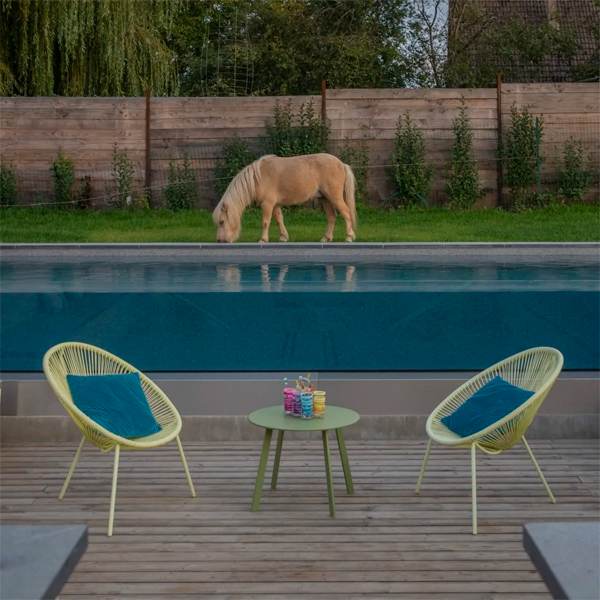 pony junto a piscina privada con pared transparente, por Aqua System