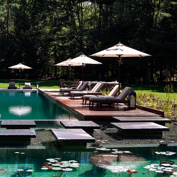 piscina natural con zona relax sobre tarima de madera, por Artemis Landscape Architects