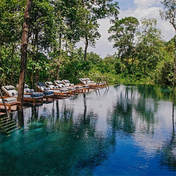 piscina infinita en acero inoxidable, en un hotel en medio de la jungla, por Bill Bensley Architects