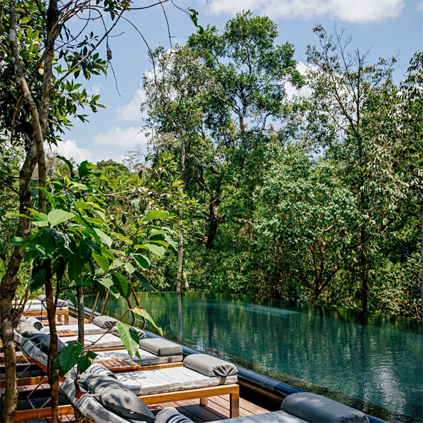 piscina infinta en hotel en medio de la jungla, por Bill Bensley Architects