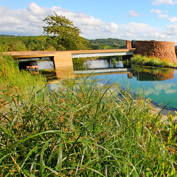 piscina natural a medida por Clear Water Revival