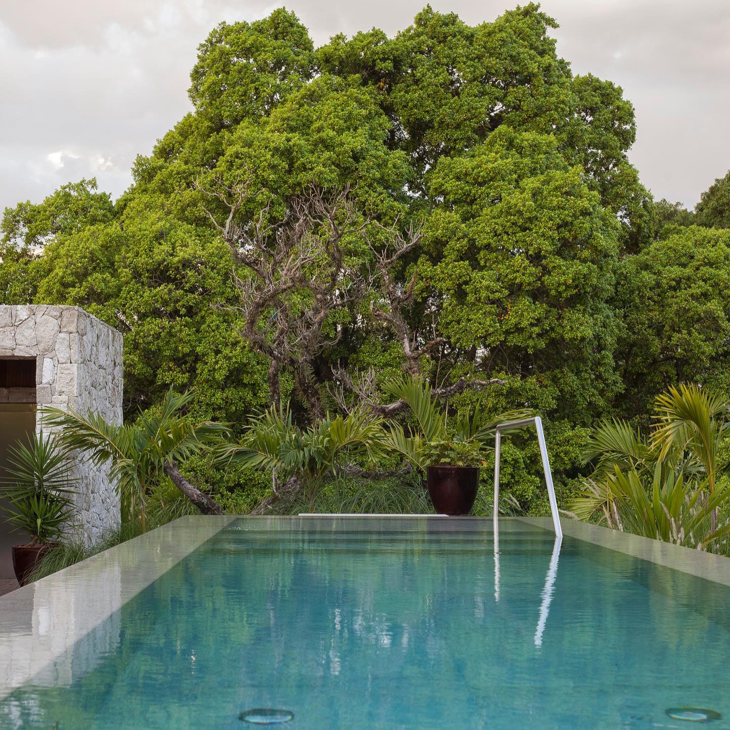 Espectacular vista del bosque desde una elegante piscina infinita, en un proyecto de DB Arquitetos