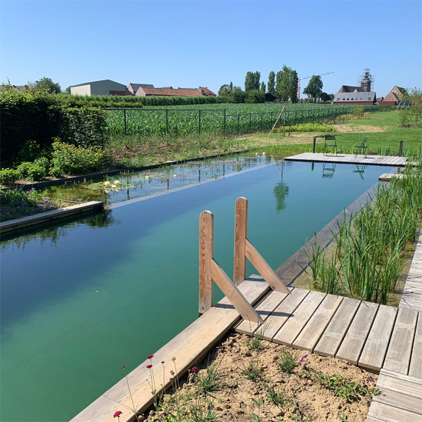 piscina natural y jardín, por Geoblauw