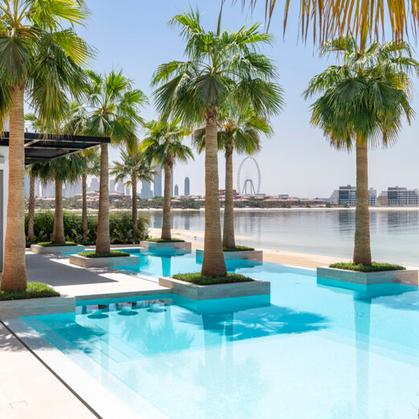 piscina con palmeras en su interior