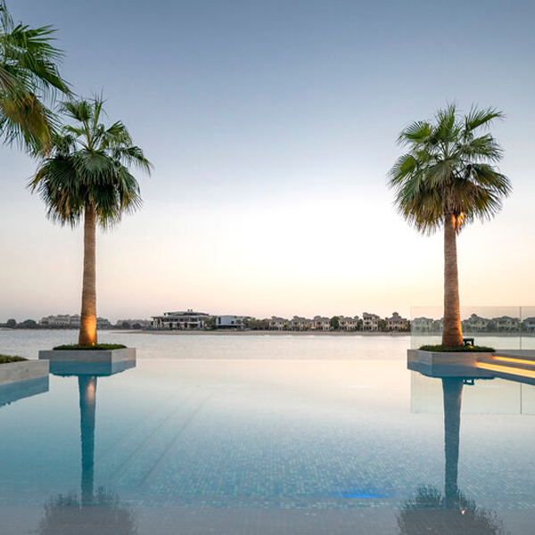 vista del horizonte con palmeras desde la piscina