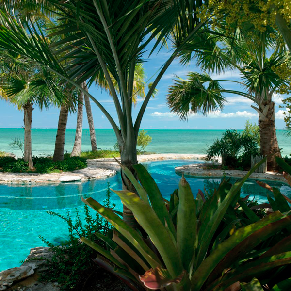 piscina a medida rodeada de vegetación, junto al mar caribe por Raymond Jungles