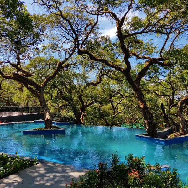 piscina infinity a medida de uso público por Roman Aqua Pools