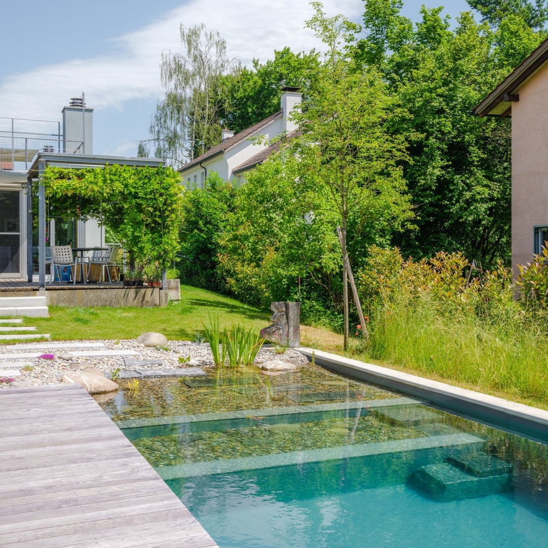 Piscina natural, de diseño tradicional rectangular, en un jardín de diseño moderno y depurado, con tarima de madera, por la empresa suiza Stieger