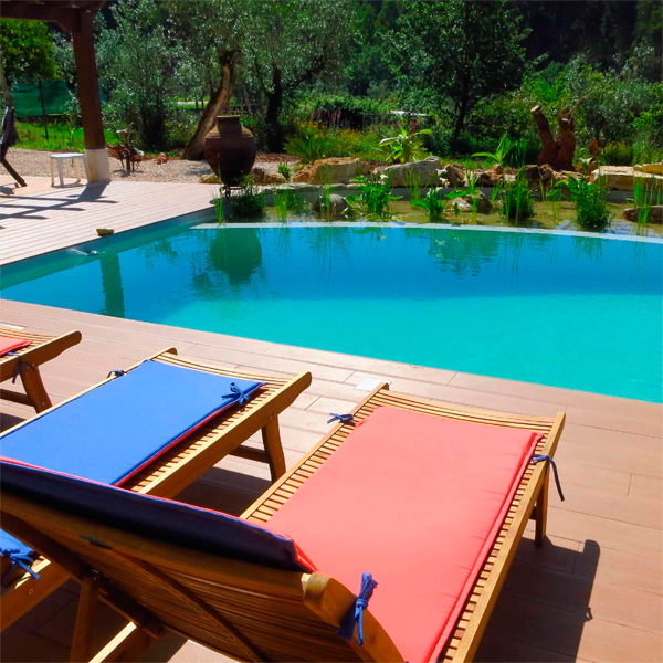 piscina natural en casa privada, de Swim Natural, en Portugal