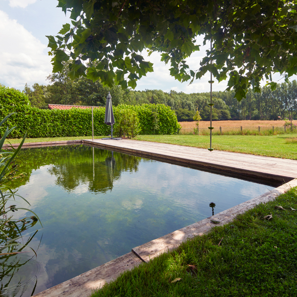 piscina natural de Van Helvoirt Groenprojecten