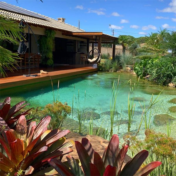 Piscine naturelle de style lagon, par Vida Ecosistemas, dans un jardin privé de 300 mètres carrés