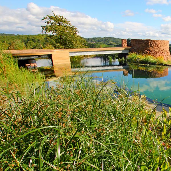 piscine naturelle sur mesure par Clear Water Revival