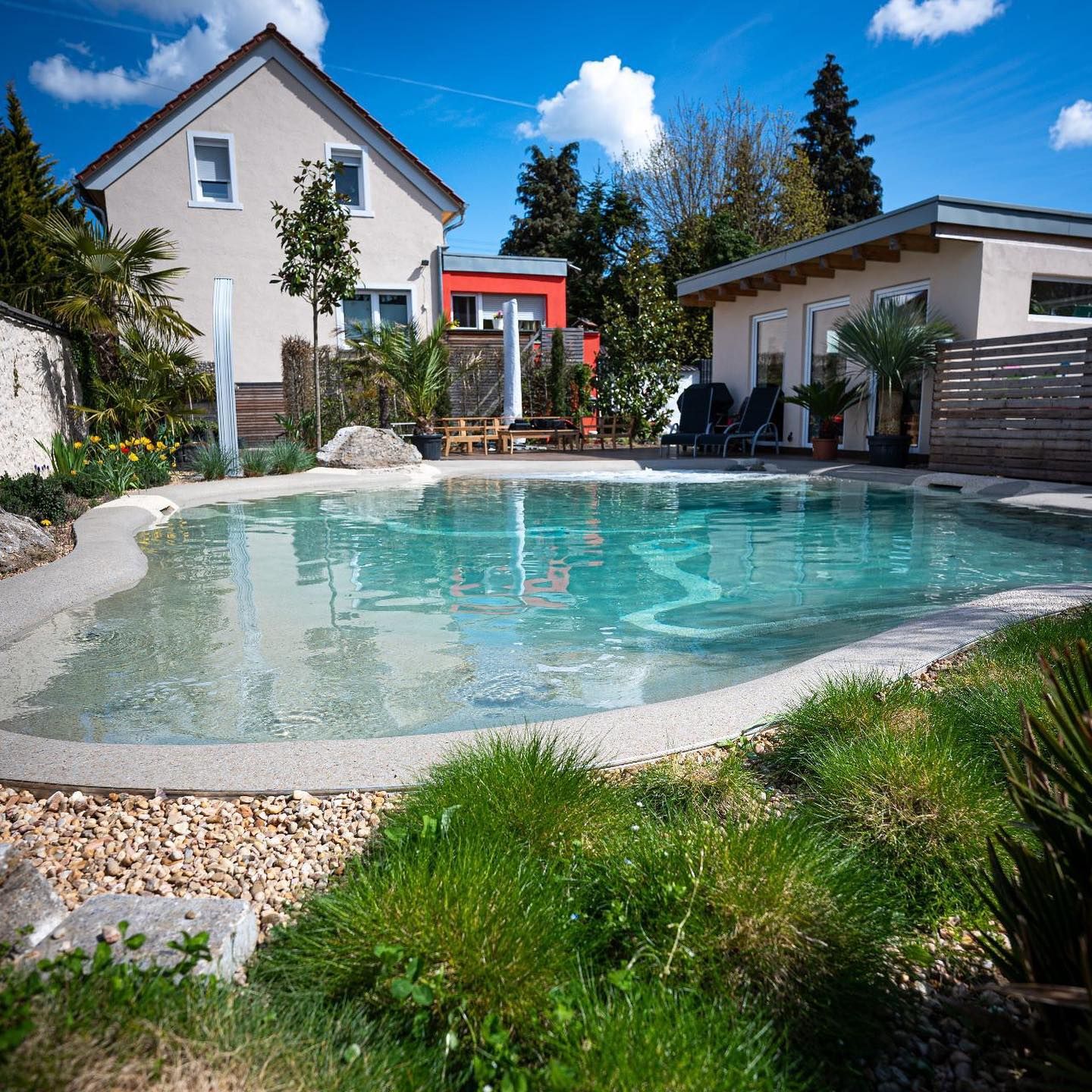 Piscine naturelle Biodesign, style plage, réalisée sur mesure dans un petit jardin privé, par Gartengestaltung Sven Pfadt