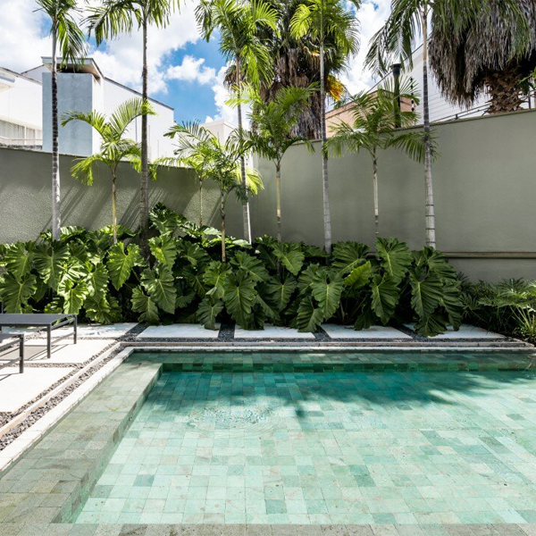piscine verte