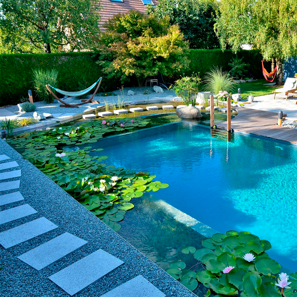 piscine naturelle avec une filtration écologique