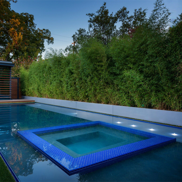 piscine à débordement avec spa