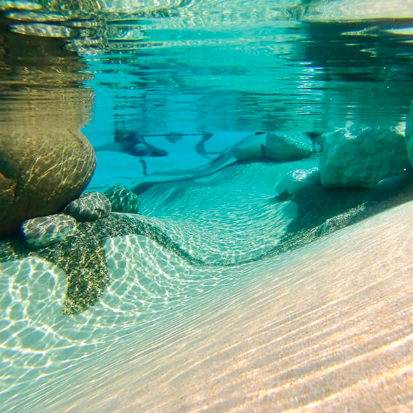 l´intérieur d`une piscine de style plage sur mesure par Biodesign USA