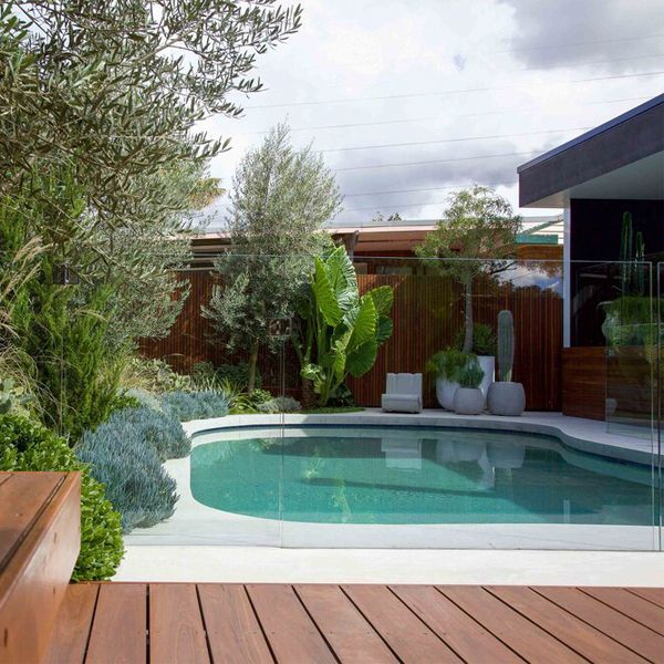 piscine privée sur mesure, au design courbé, par Impressions Pools, dans un jardin avec une terrasse en bois