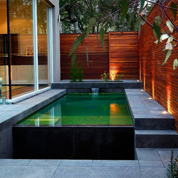 piscine verte à debordement et jardin
